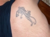 webCIMG0280